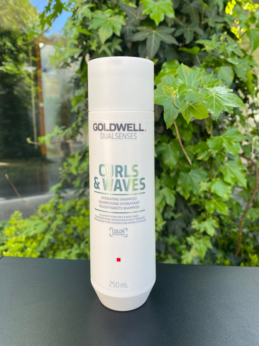 GoldWell Curls&Waves Hydrating Shampoo