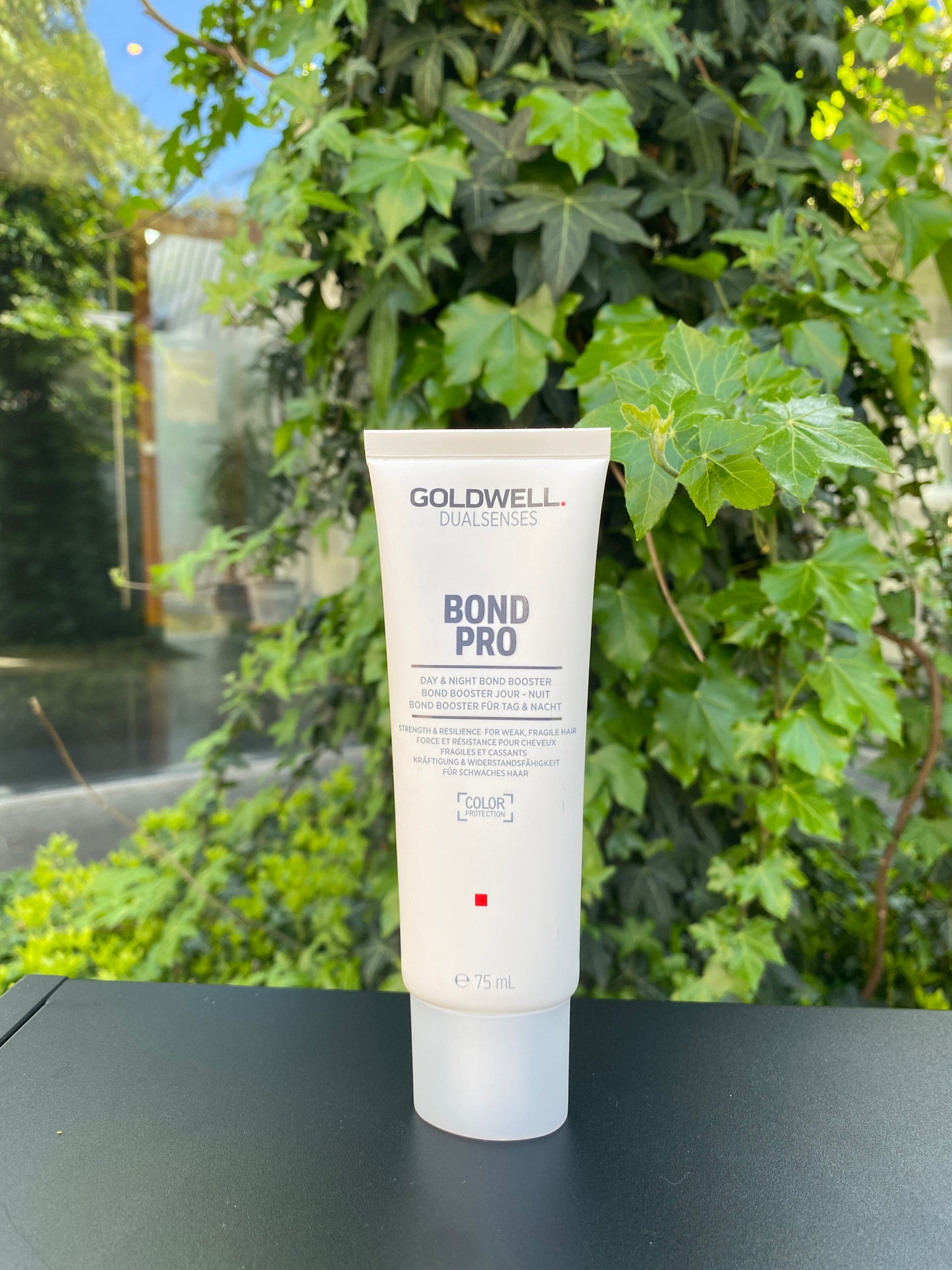 GoldWell Bond Pro Day&Night Bond Booster